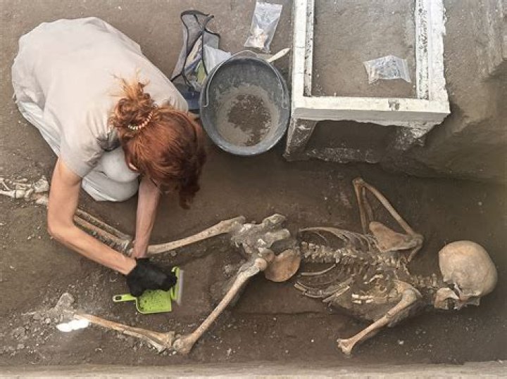 Discoveries And Insights Into David Banner's Wife