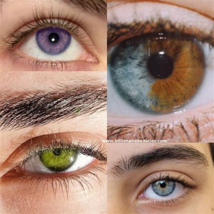 Unveiling The True Eye Color Of Jennifer Williams: Discoveries And Insights